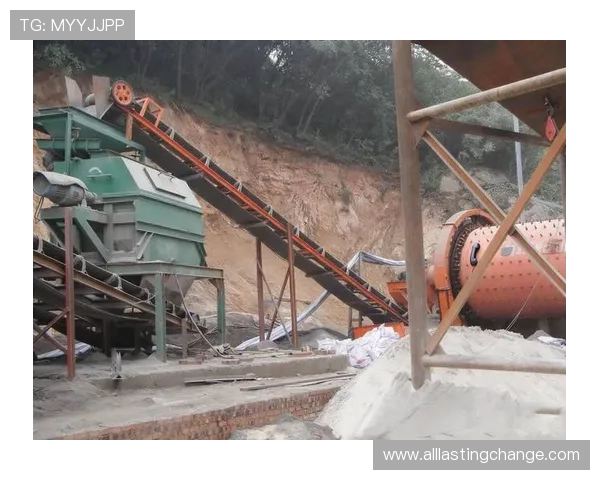 半岛体育网页版合作多家体育俱乐部，丰富内容资源满足多样化需求